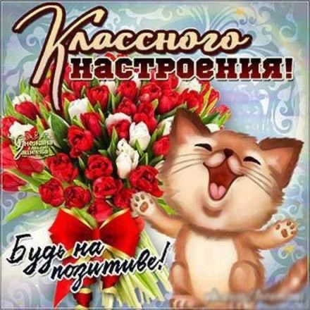 Оставляйте реакции, если понравилась открытка 👍

Больше открыток тут👇
КРАСИВЫЕ ОТКРЫТКИ
Не забудьт