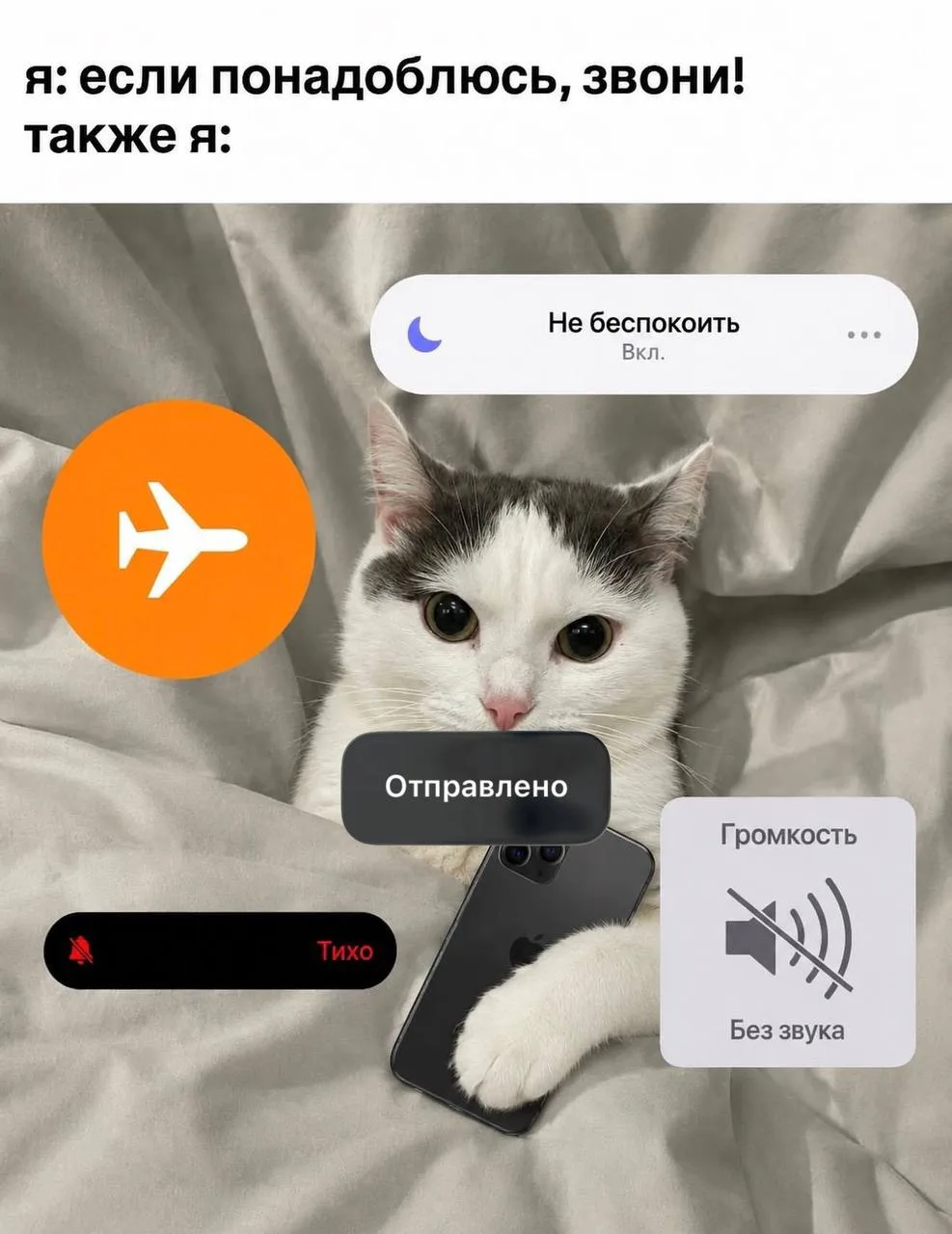 😇😅