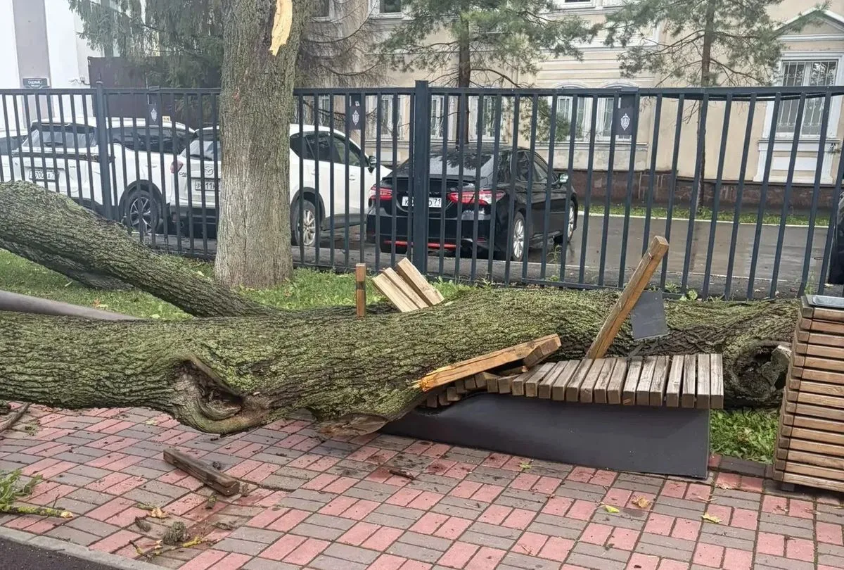 В Туле после сильного ветра повалило деревья
https://newstula.ru/fn_1915147.html

В Туле в результат