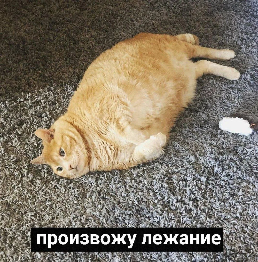 🫠 Всемирный день лени отмечают сегодня.