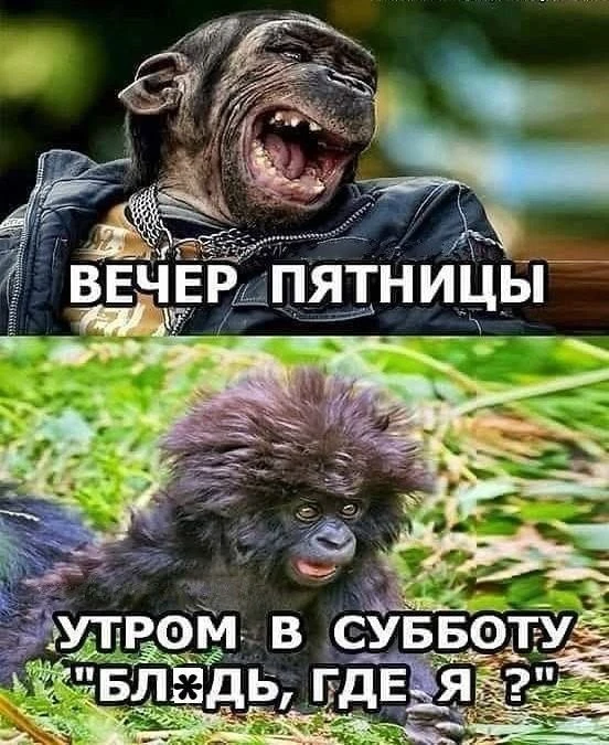 Юмор | Приколы | Мемы 👇🏻