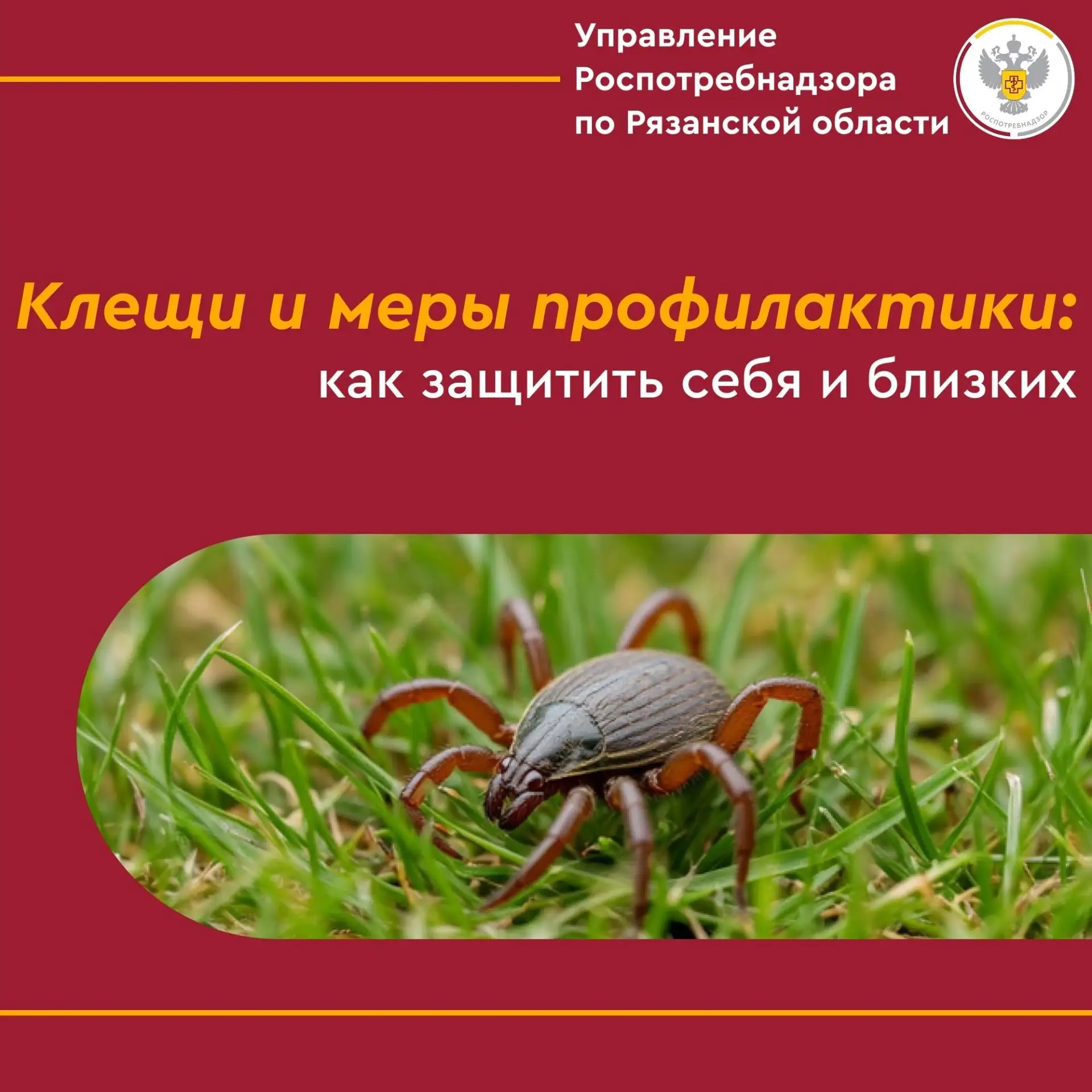Управление Роспотребнадзора по Рязанской области сообщает: