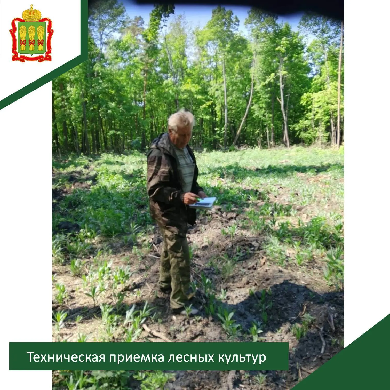 🌳 Лесные инспекторы проверяют новые посадки! 🌳Государственные лесные инспекторы Голов...
