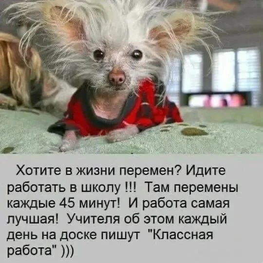 😁Православные тоже шутят - Позитивный канал, с доброй и душевной атмосферой.