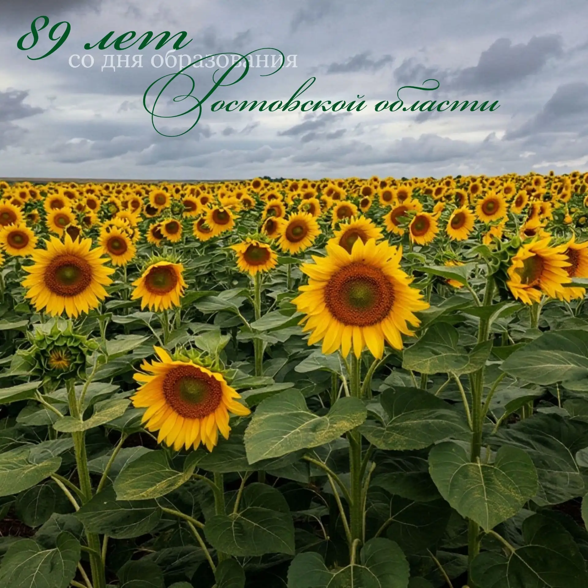 💙Поздравляю всех, кто живет на Дону, с Днем Рождения нашей любимой Ростовской области.