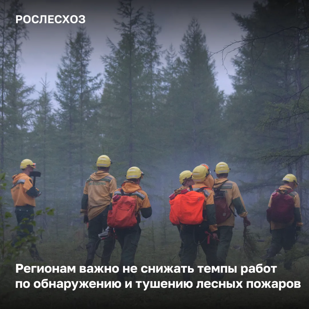 🟢 За сутки в России на землях лесного фонда потушили 59 лесных пожаров на площади 18,5 тыс. га.

🔥