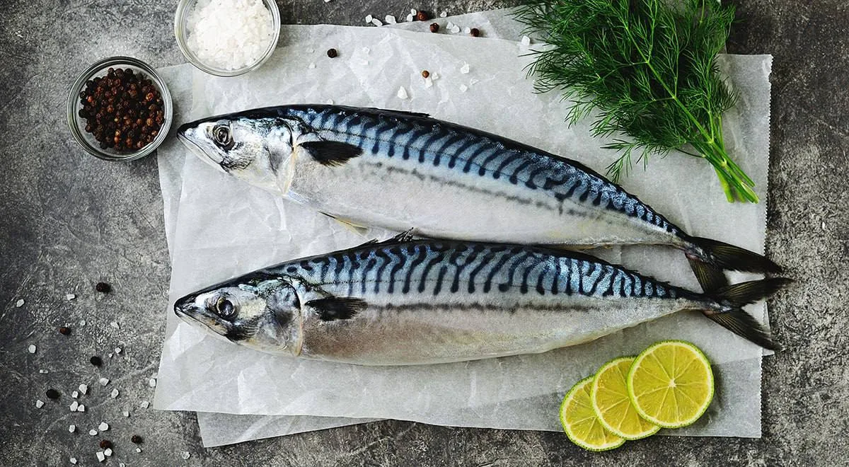 Скумбрия - это отличный источник белка🐟
