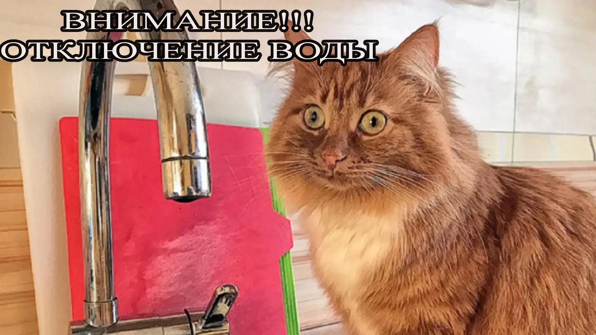 Уважаемые жители п. Золотухино  04.06.2026 г., с 14.00 до 18.00 ориентировочно , по ул. Ленина, Ордж