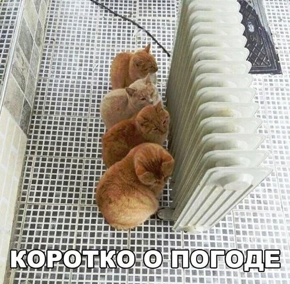 Когда потеплеет и закончится снег в Кургане.