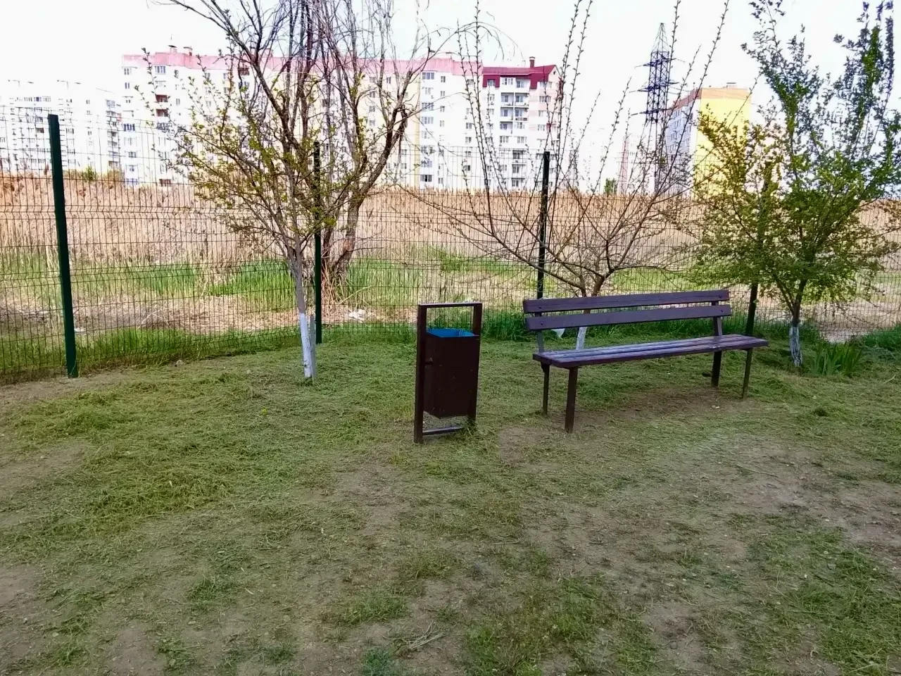 К новости «🌾 Летний сезон: трава под контролем!»
