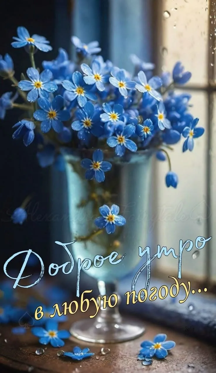 Доброго утра!. 🙌💗