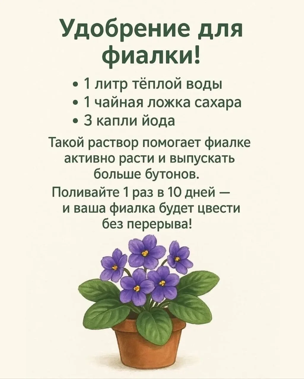 Ваша фиалка будет цвести без перерыва💜

Делимся рецептом раствора, который заставит проснуться даже