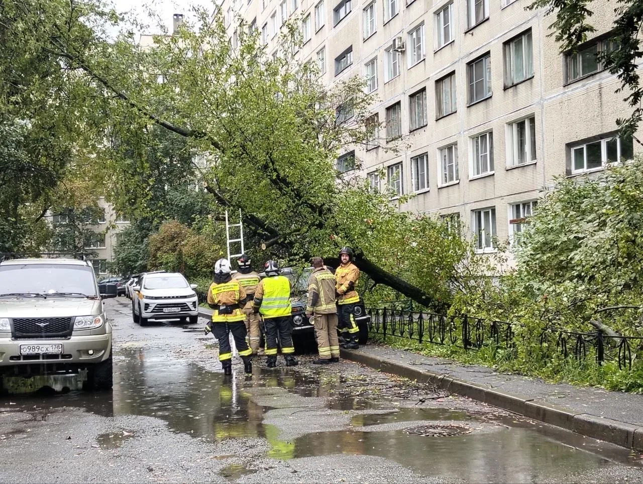Двойное невезение на Купчинской: на «Ниву» рухнуло дерево, но компенсации владельцу, по...