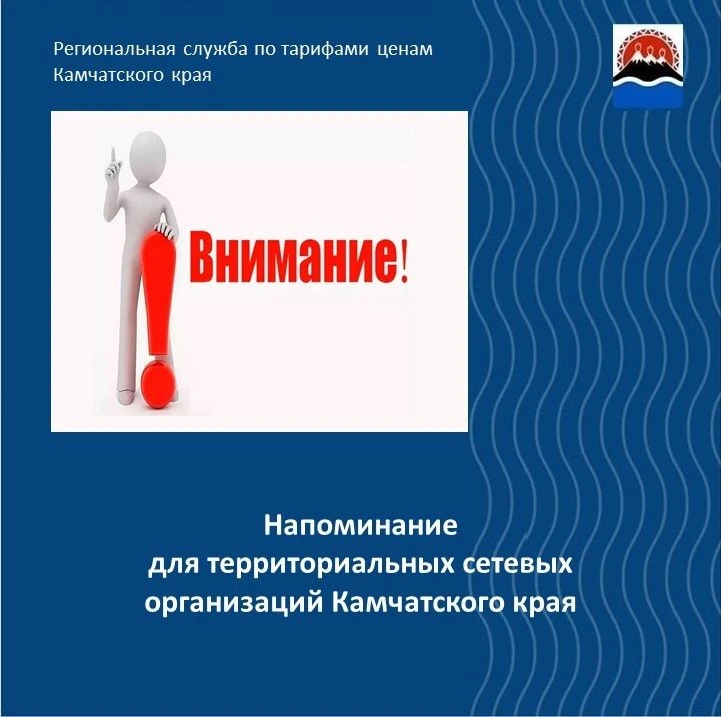 Региональная служба по тарифам и ценам Камчатского края напоминает территориальным сетевым организац