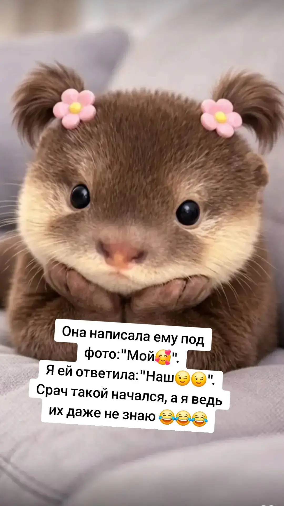 Даже не знаю🤣🤣