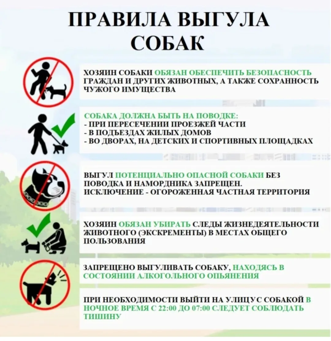 Соблюдаем правила 👆