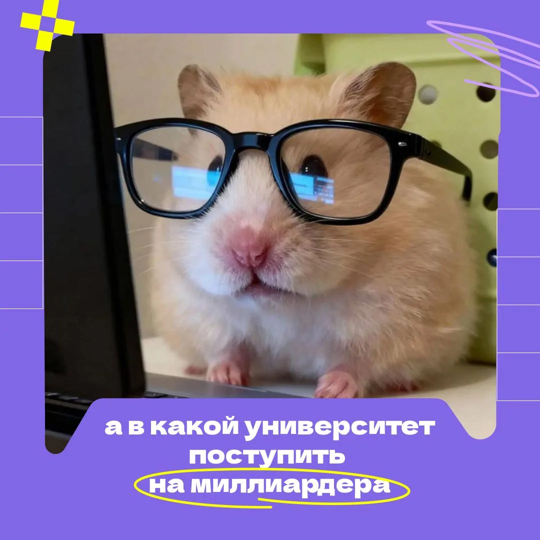 Предприниматели не останавливаются после первого диплома 👨‍🎓