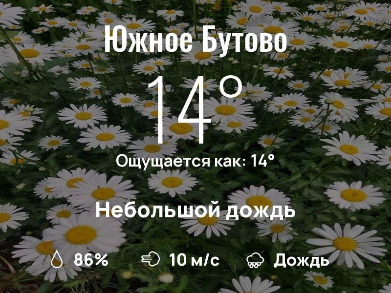 Что с погодой в Южном Бутово?