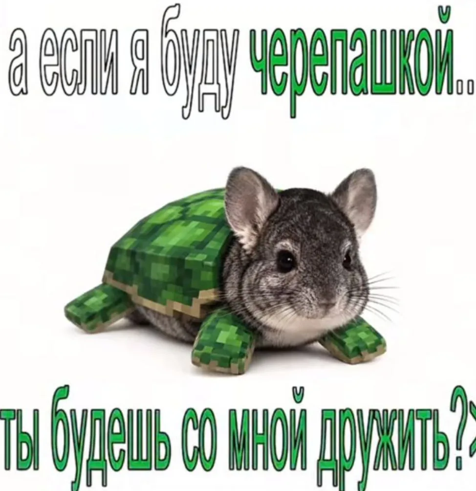 Подборка от подписчика 7/10