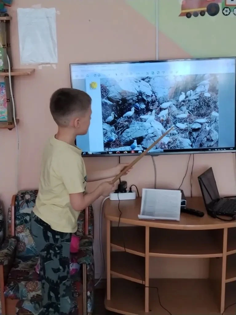 🪶 Секреты острова Фуругельма: знакомство с малой колпицей!  В подготовительной группе №8 прошло увле