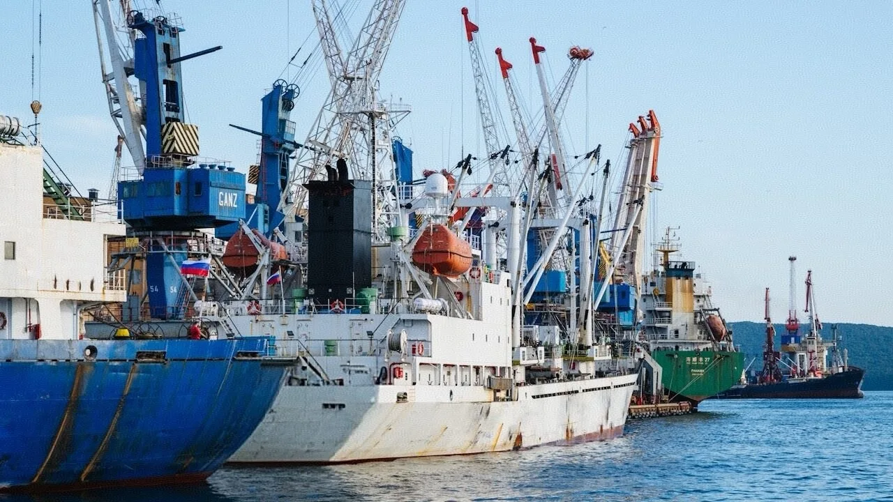 🌐 Владивостокский морской рыбный порт прекратит перевалку угля