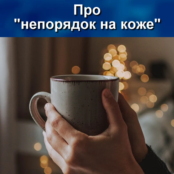 Человек – существо, стремящееся к комфорту, уюту, порядку и чистоте.