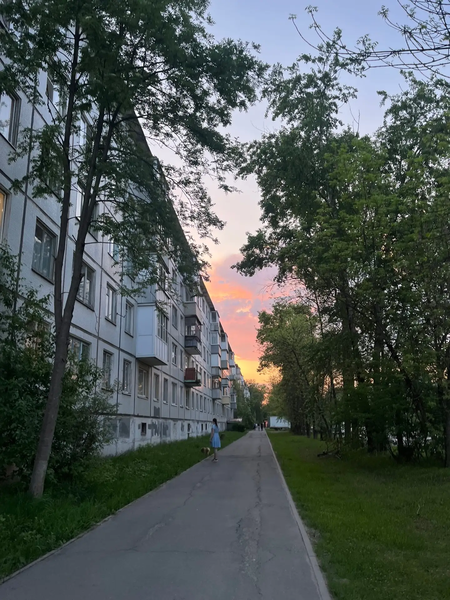 Как хороша летняя Вологда ✨