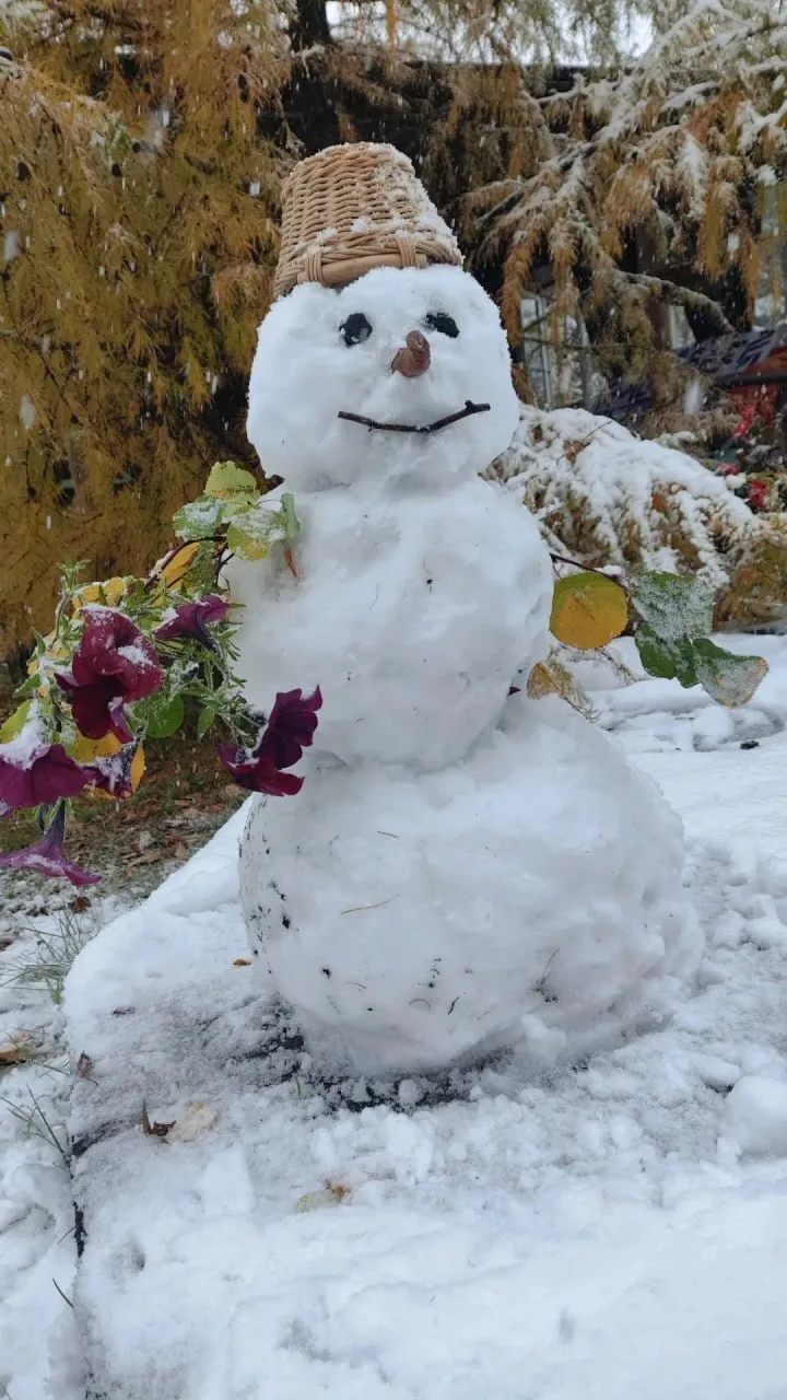 ⛄️ У нас тут первые снеговики.
