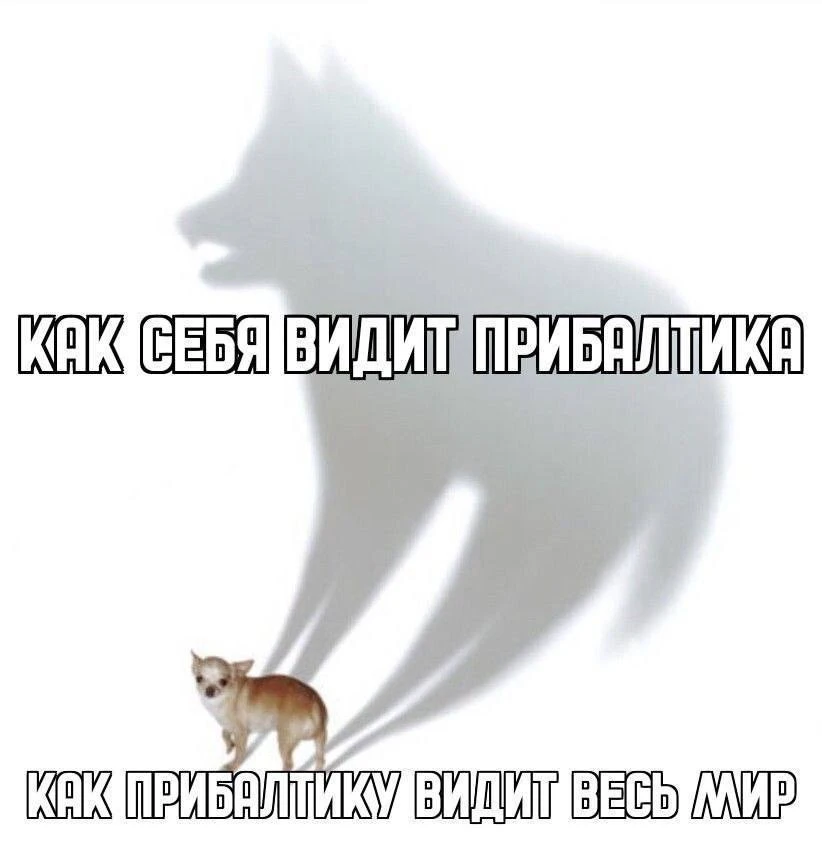Спасем прибалтийского тигра от вымирания! Их осталось всего три!
