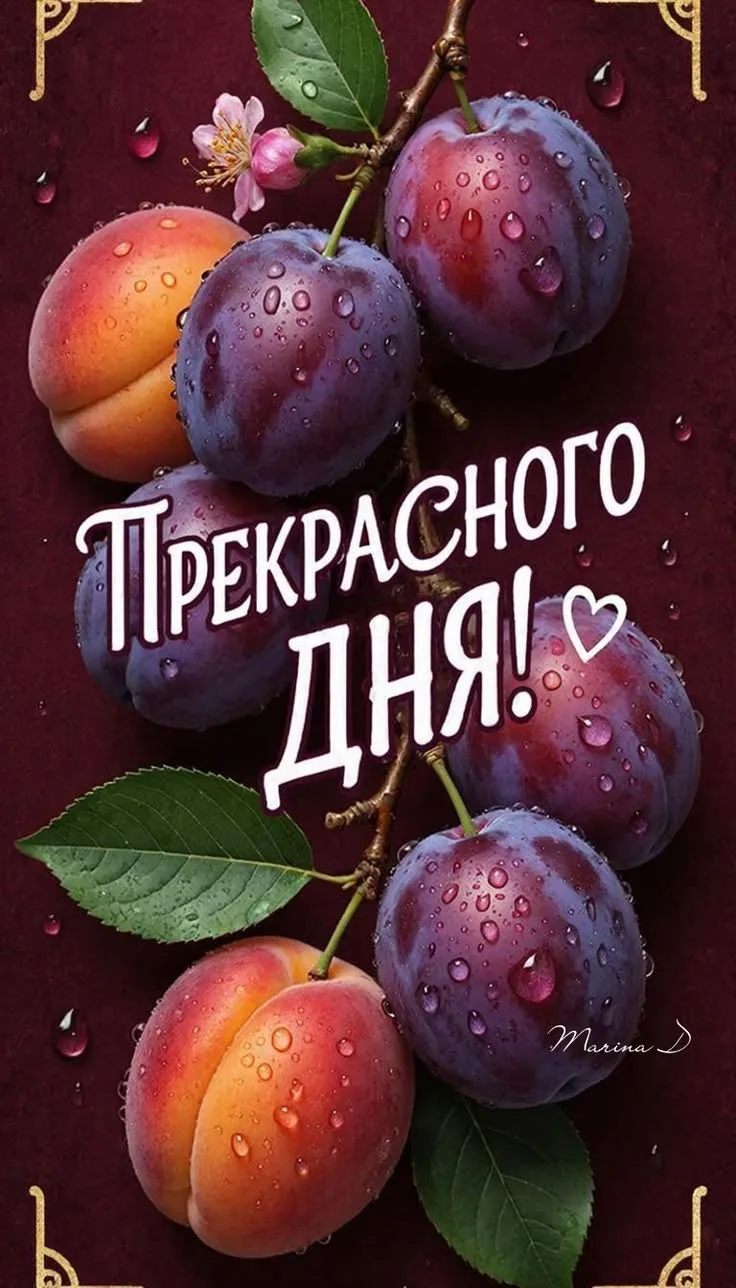 Подпишись 👇