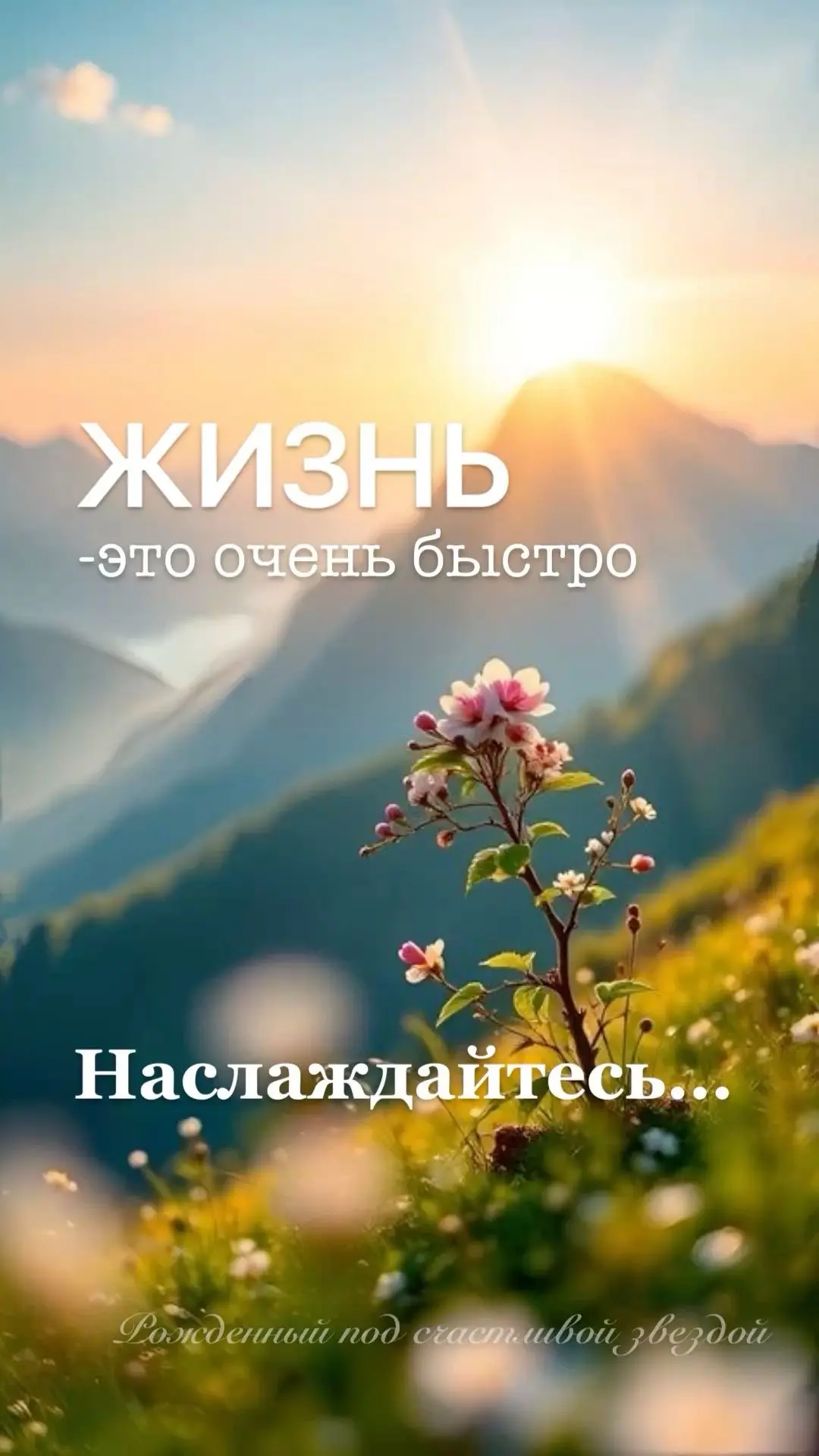 🥰Открытки и поздравления!