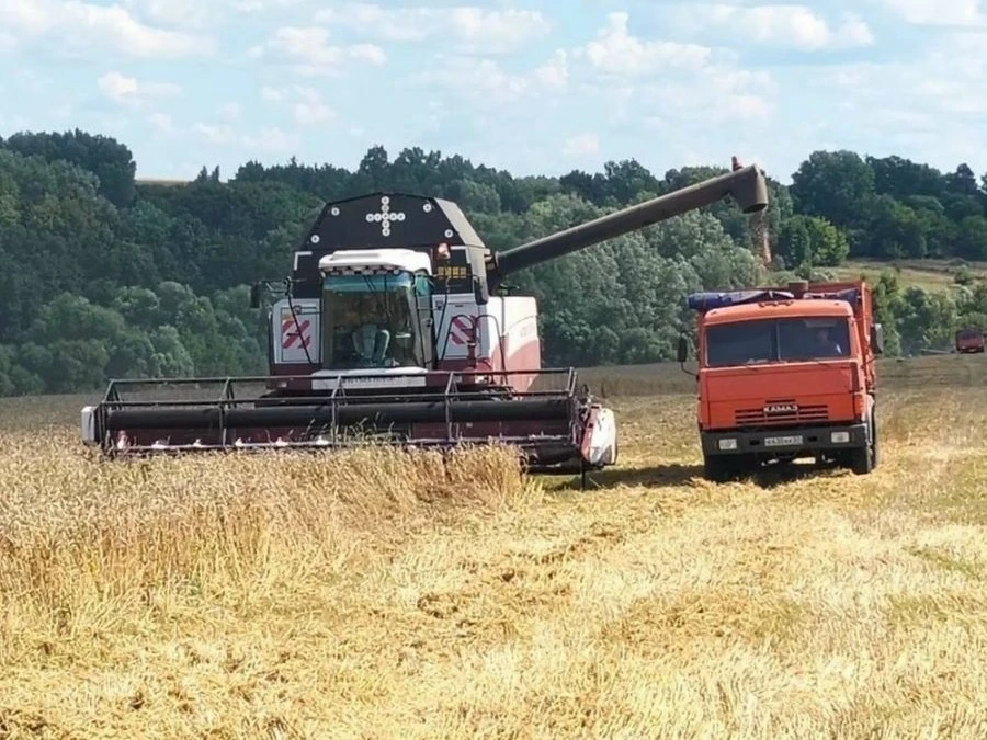 В Верховажье сообщили об угрозе срыва уборочной кампании