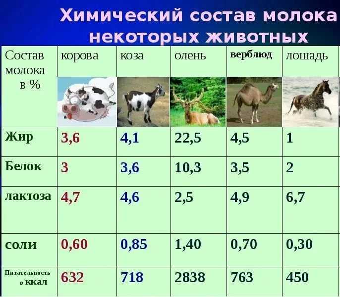 🐄ОТЛИЧИЯ МОЛОКА РАЗЛИЧНЫХ СЕЛЬСКОХОЗЯЙСТВЕННЫХ