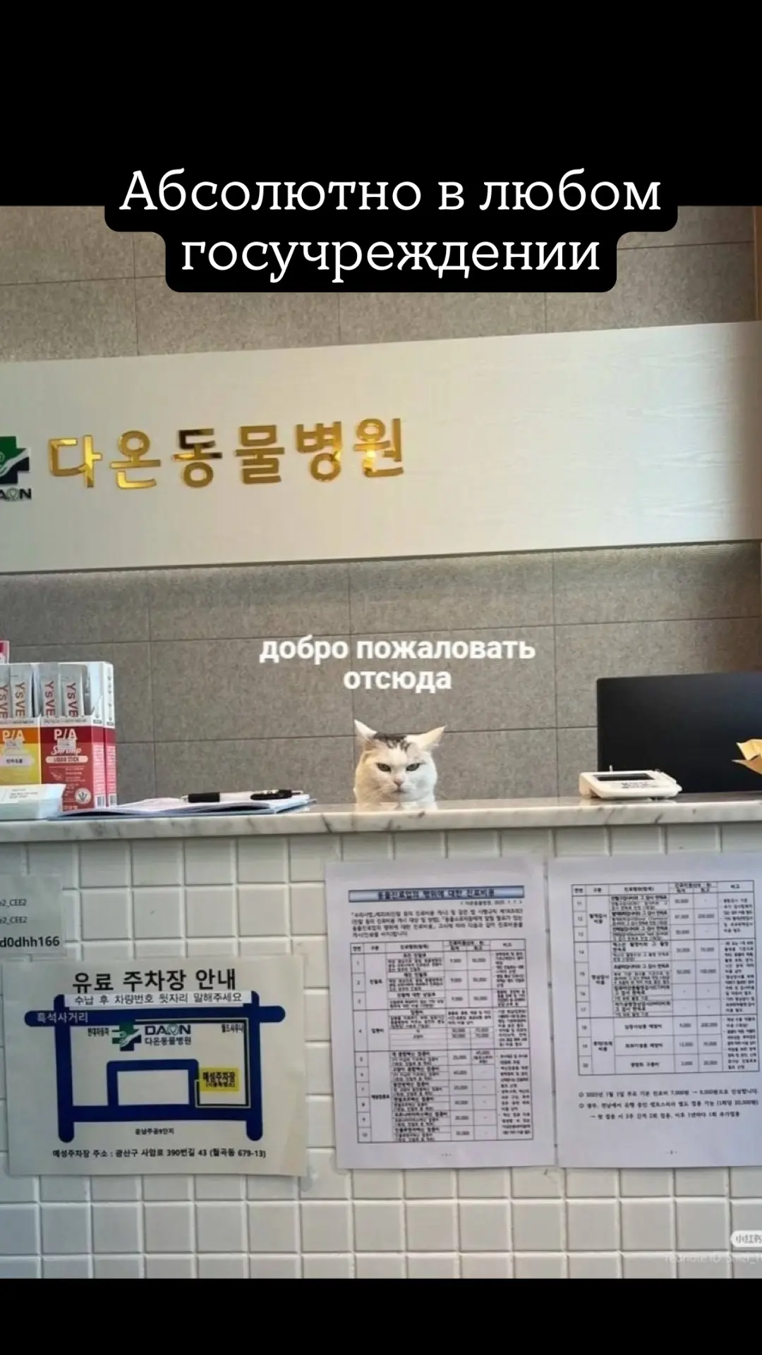 И еще несколько мемчиков перед сном 😅😂