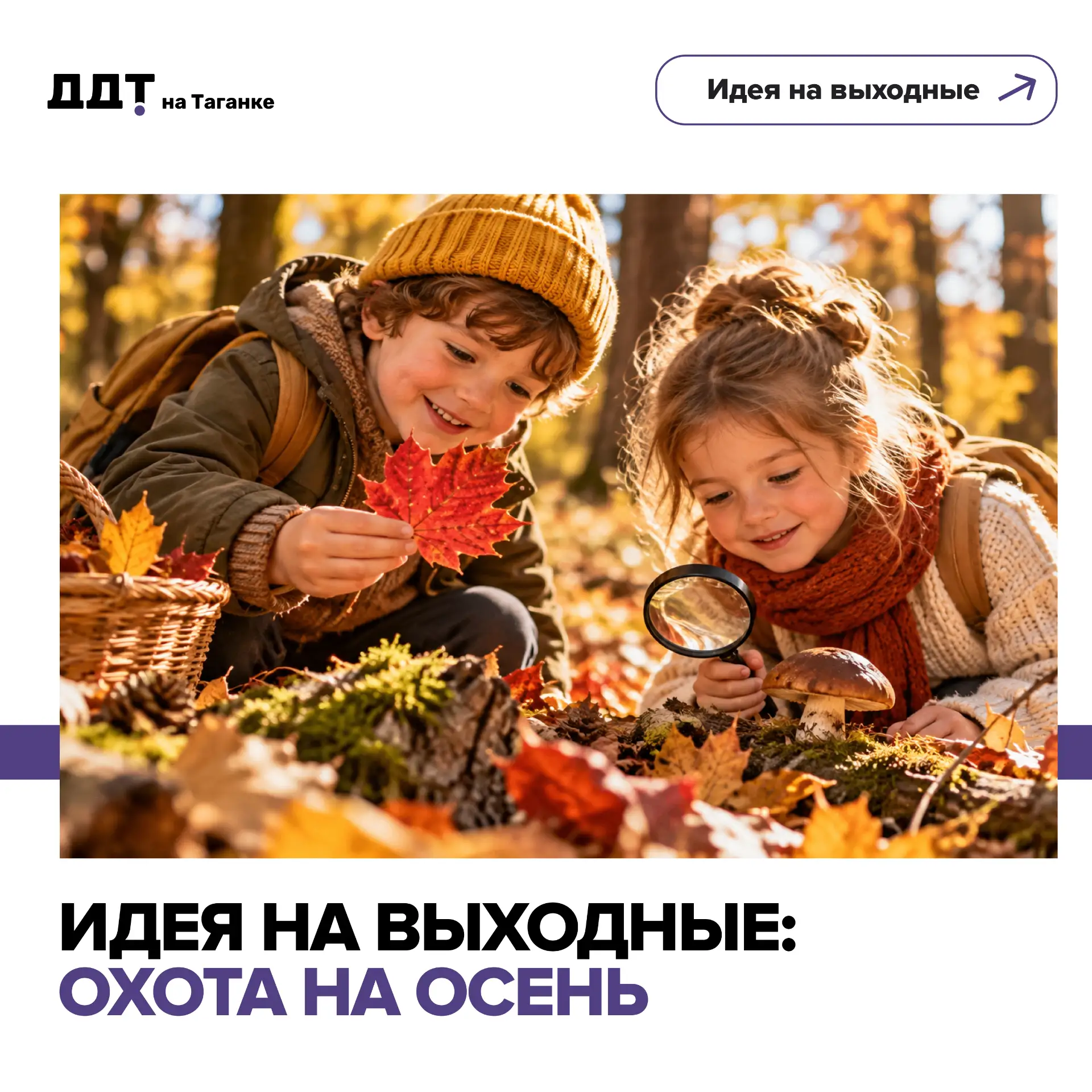 🍂 ИДЕЯ НА ВЫХОДНЫЕ: ОХОТА НА ОСЕНЬ