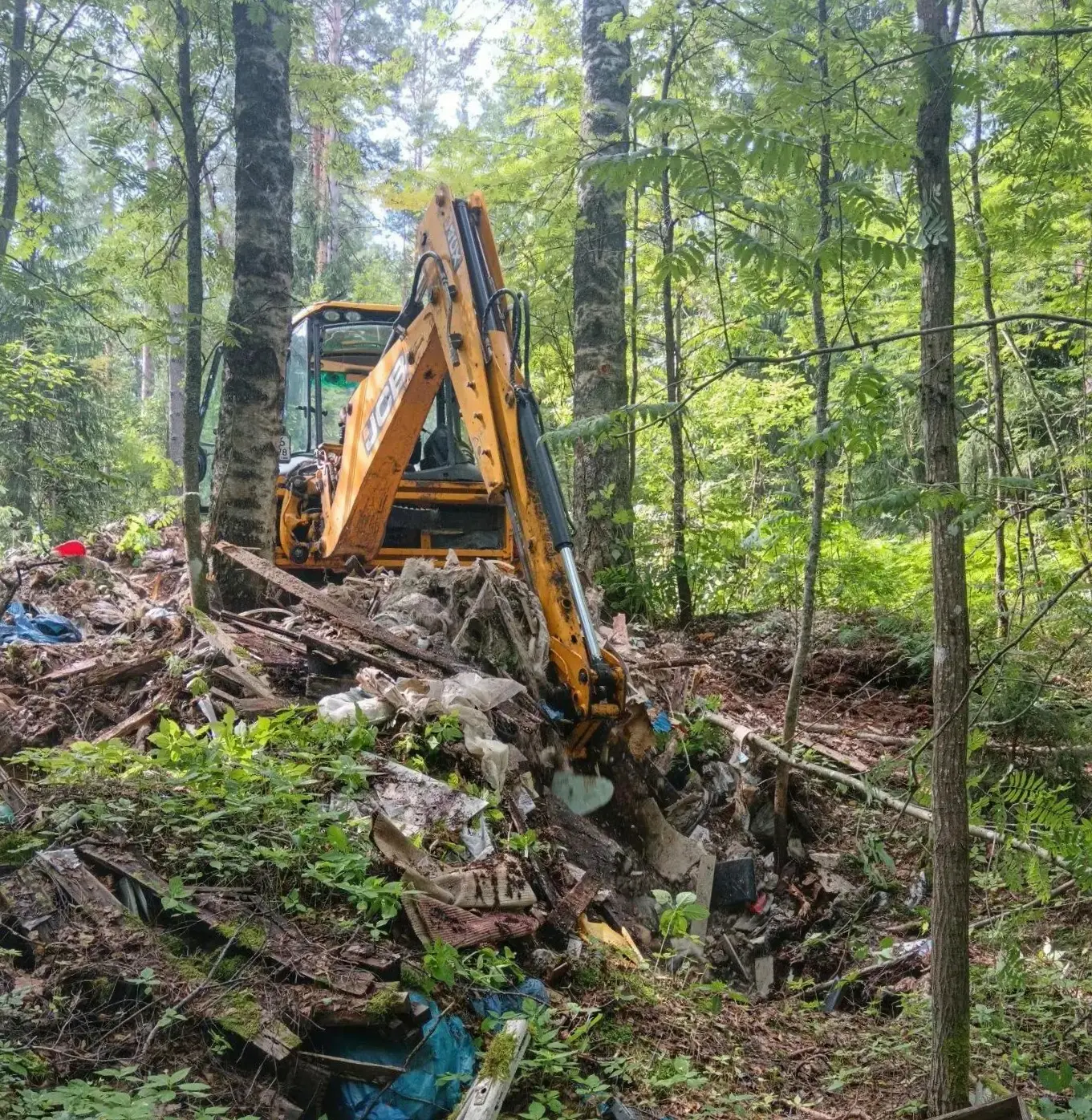 🌿Комитет по природным ресурсам Ленинградской области совместно с ЛОГКУ «Ленобллес» реа...