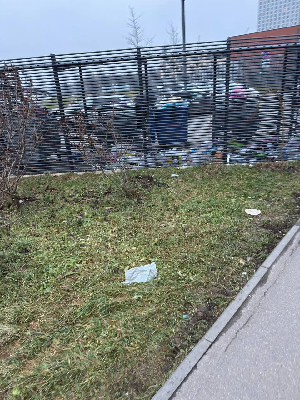 Буквально полгода назад, наши площадки для отходов, выглядели так ! 

🗑️ Мусорные баки на Бианки: к
