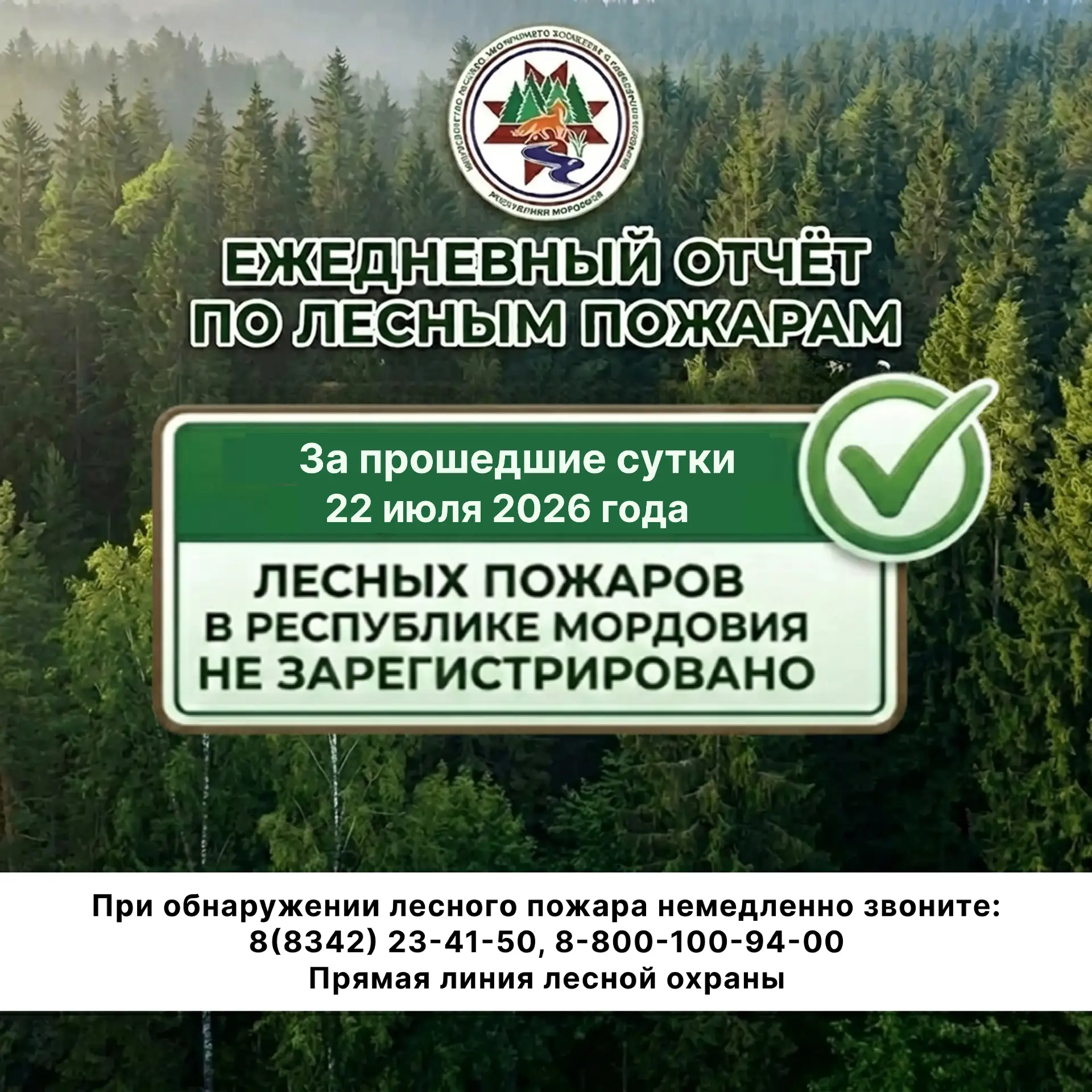 В Мордовии на данный момент лесных пожаров нет✅

Специалисты Лесопожарного центра, лесной охраны и л