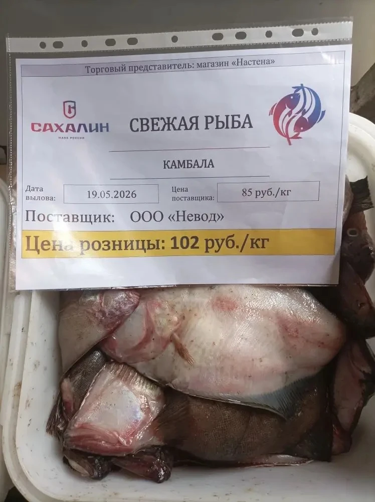 19 мая 2026 года, в  рамках проекта "Доступная рыба" осуществляется реализация свежей рыбы. Камбала: