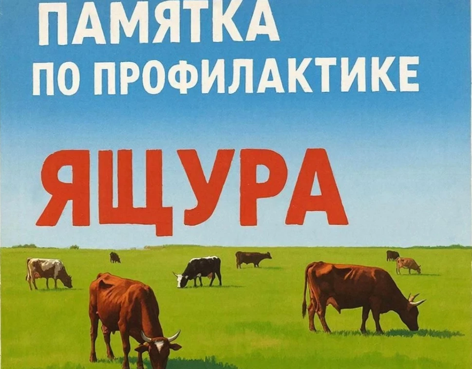 🦠 Ящур: важно знать каждому владельцу животных.