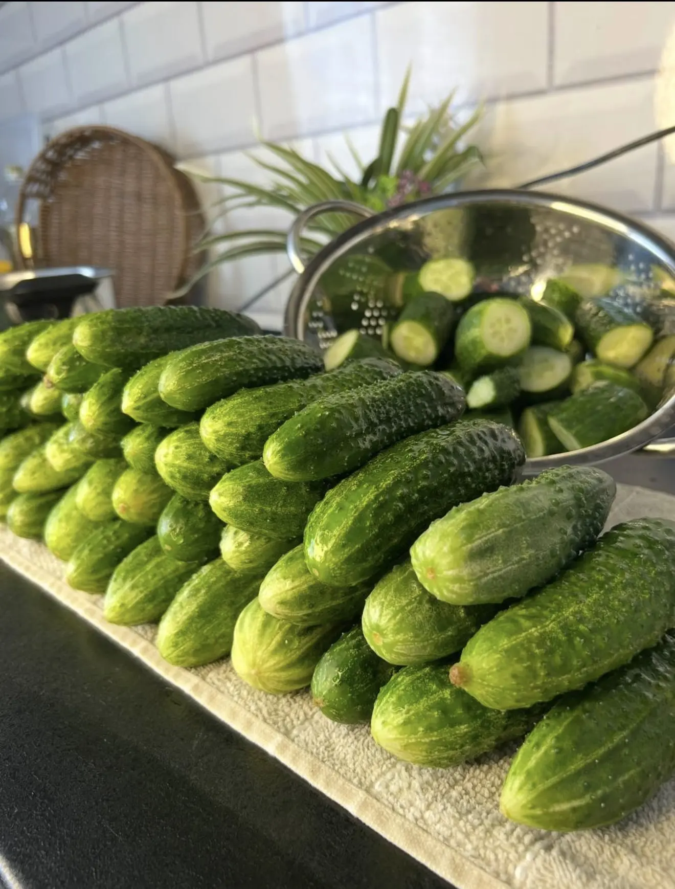 ФОРМИРУЕМ ОГУРЦЫ 🥒