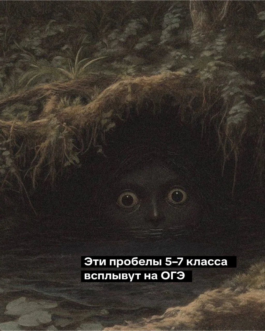 Эти пробелы всплывут на ОГЭ