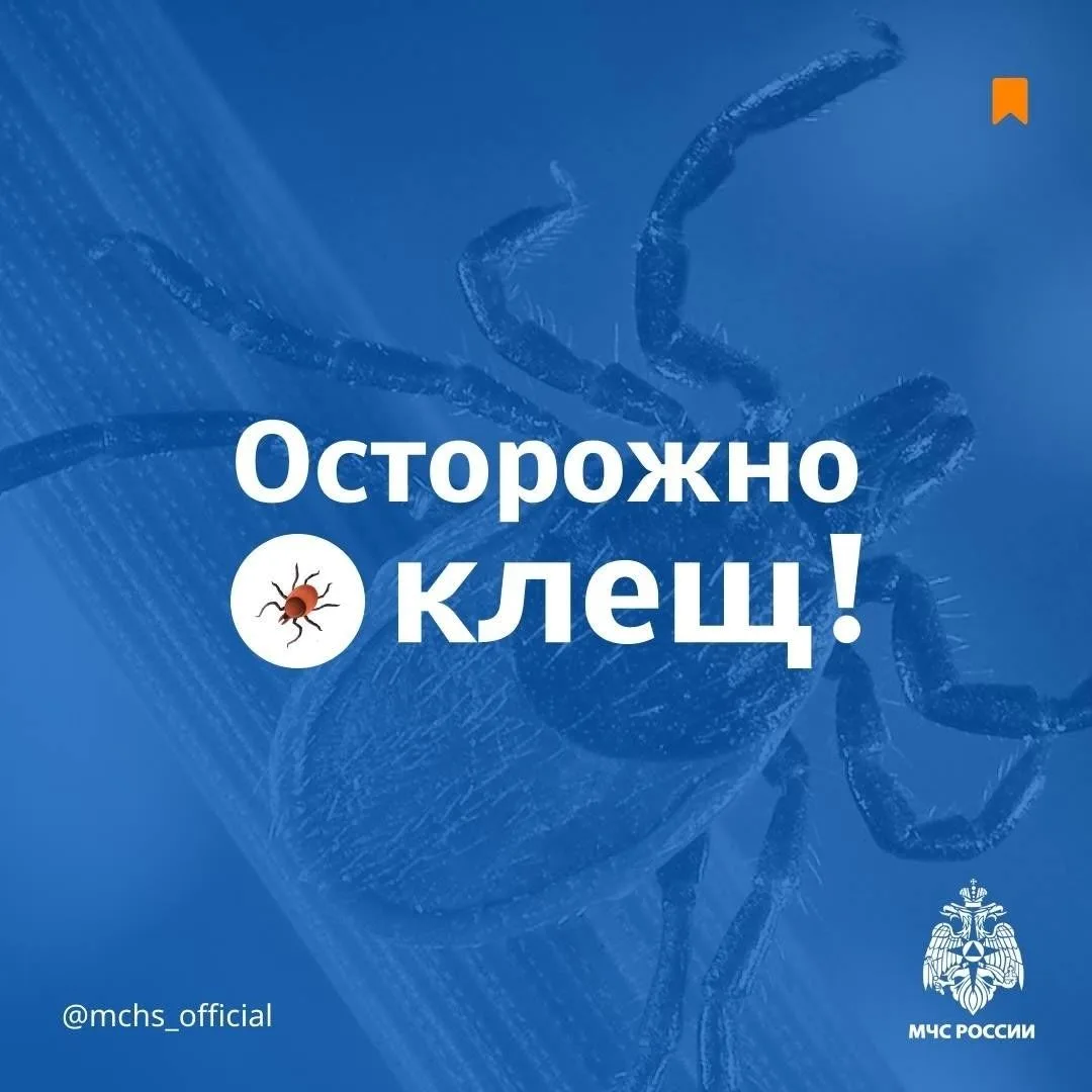 Осторожно! Клещ!
Защитись от клеща по советам МЧС России: 
заправь штаны в носки. Социальная позиция