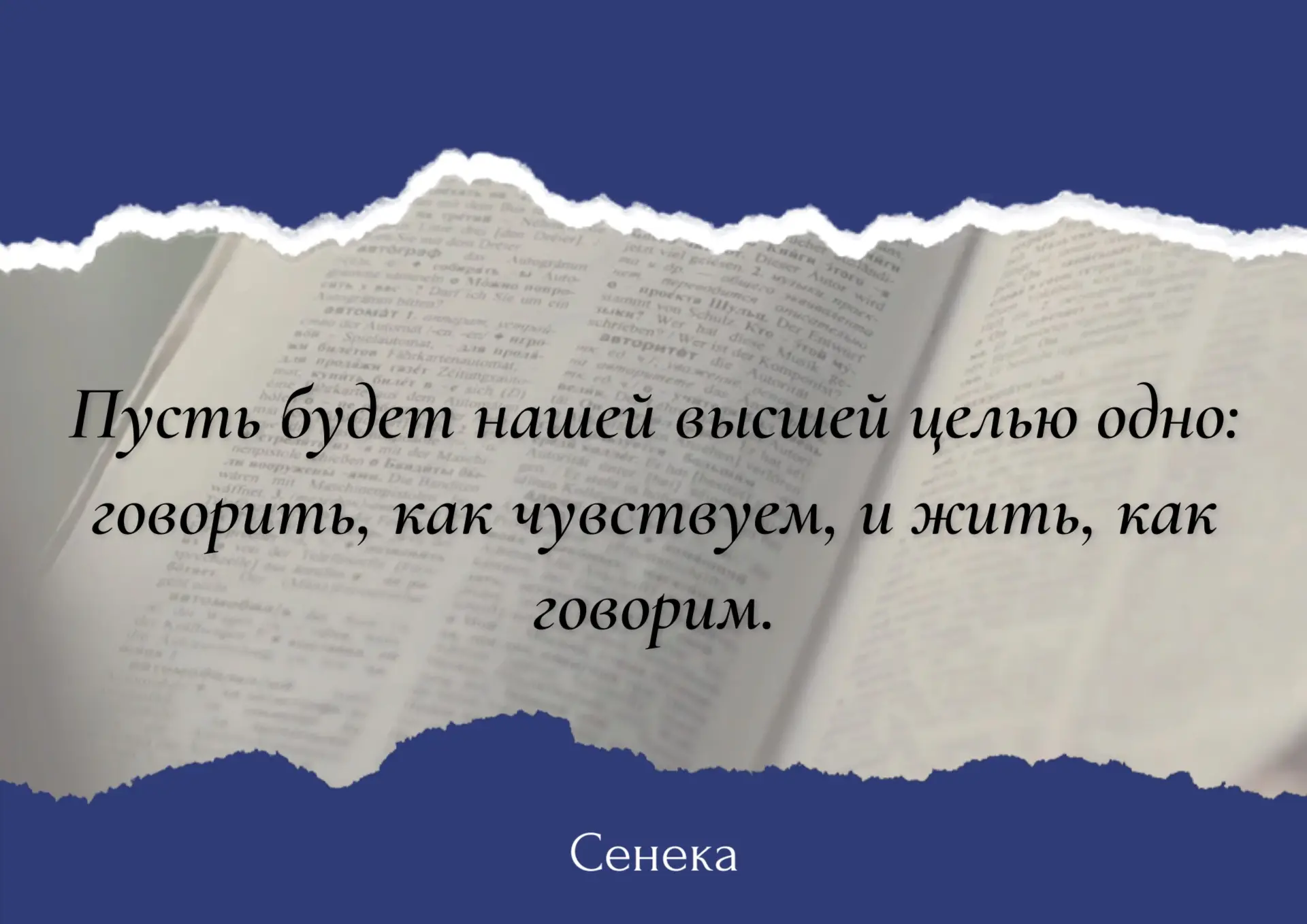 #цитатадня