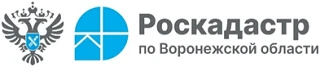 Воронежцам расскажут о новой выписке из ЕГРН