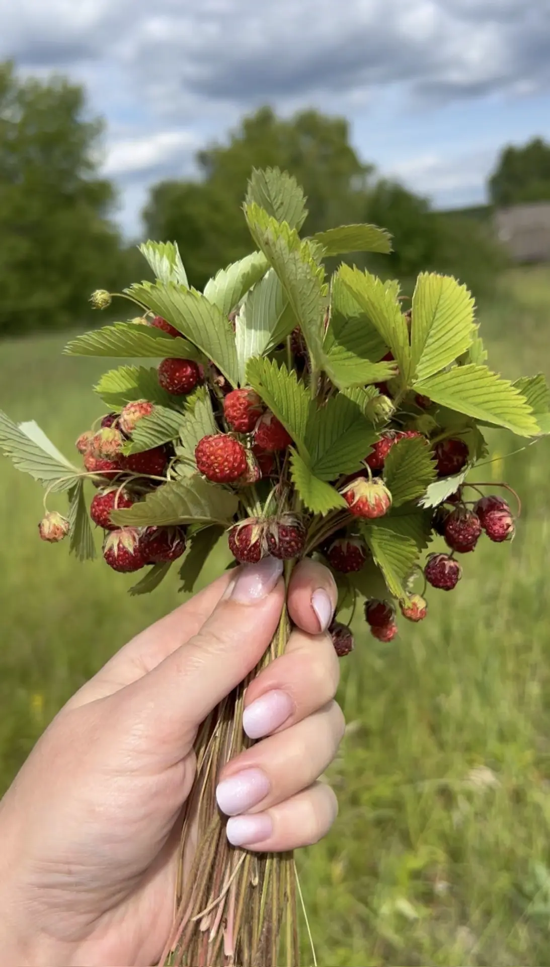 Совсем скоро жизнь будет ощущаться так♥️  А пока на улице холодно, сыро и серо… По прогнозу в Мордов