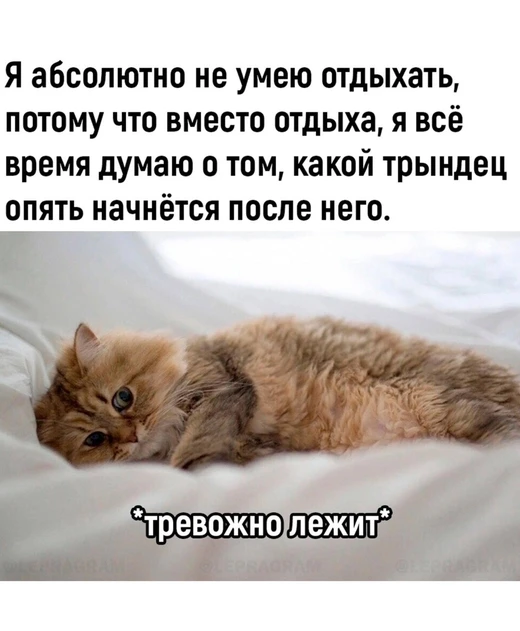 И не работаю, и не отдыхаю