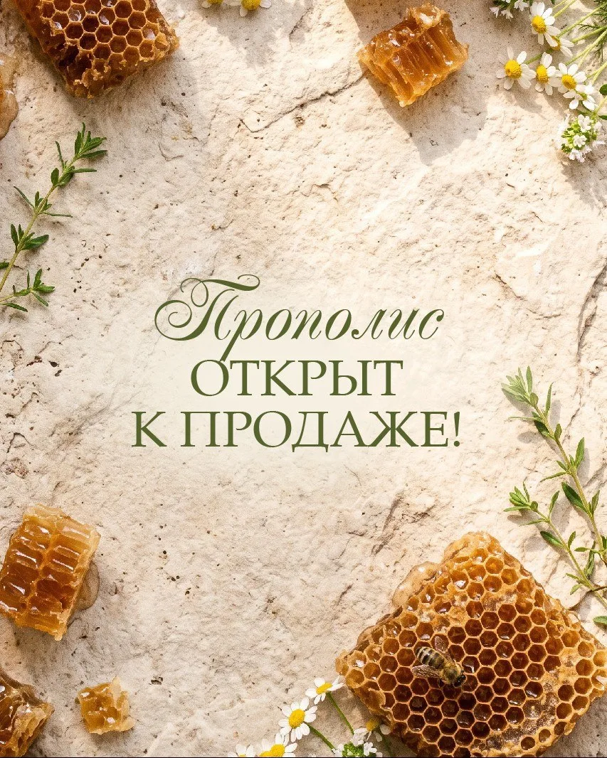 В чем тайная сила прополиса?