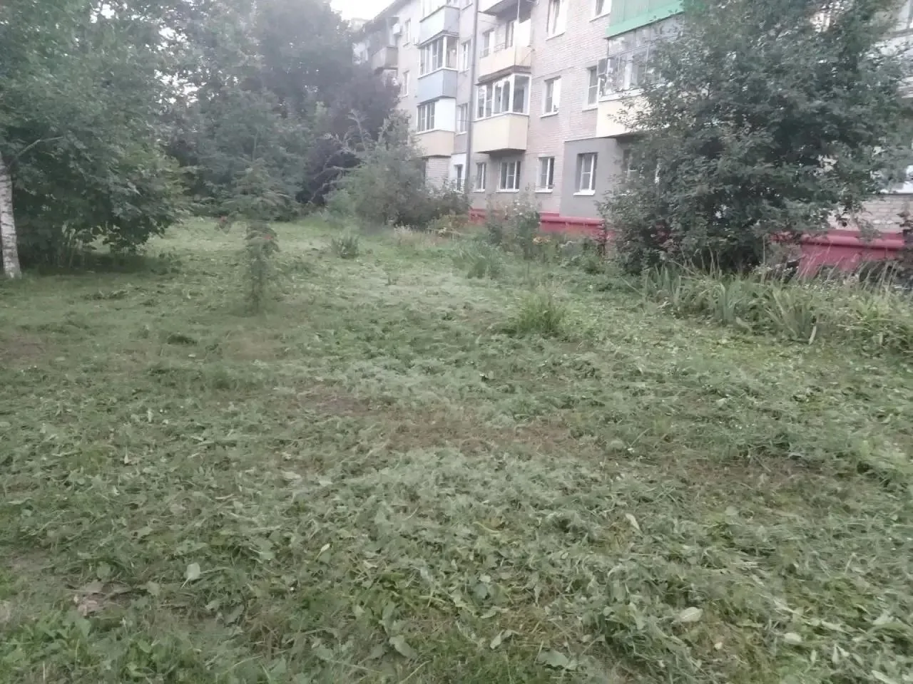 В соответствии с графиком покоса сорной растительности, продолжаются работы по окосу те...