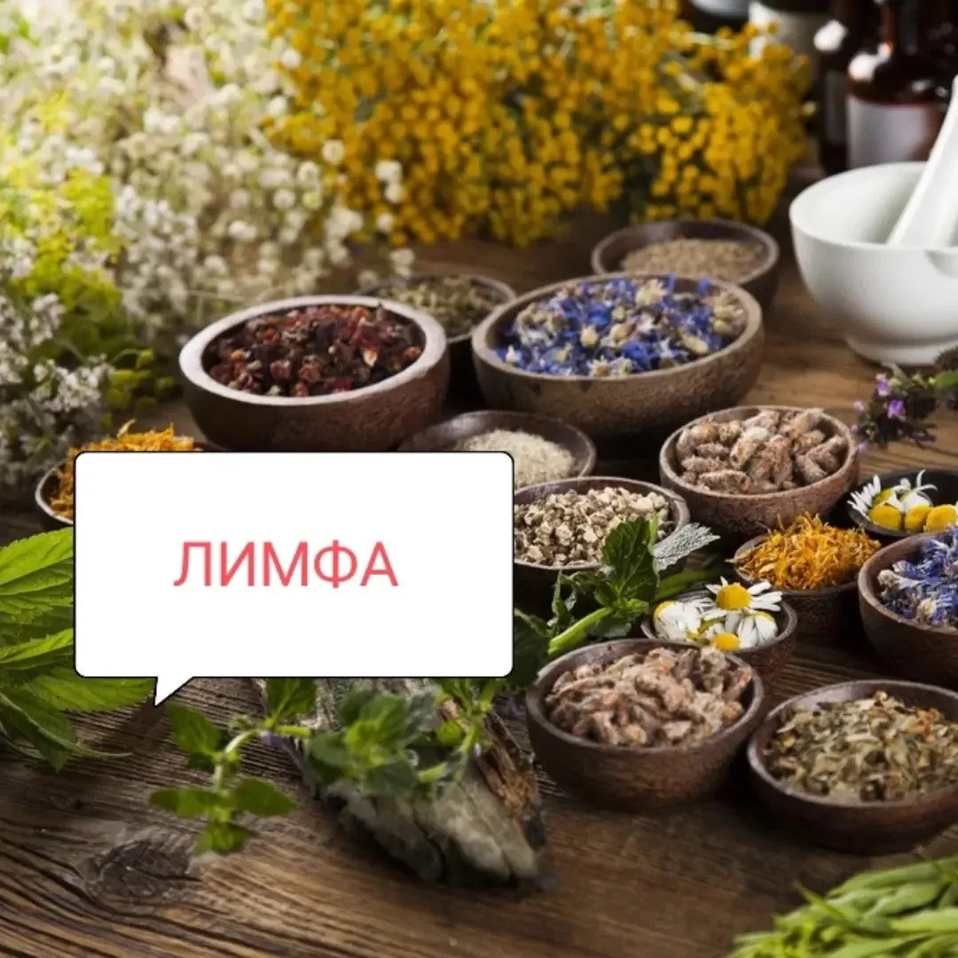 Кровь и лимфу эффективно очищают крапива, корень лопуха, красный клевер и одуванчик.